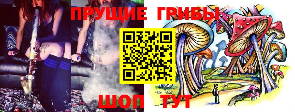 Галлюциногенные грибы Psilocybe  Вход с VPN  Кузнецк 